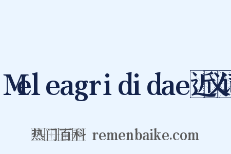 Meleagrididae近义词是什么意思的图片